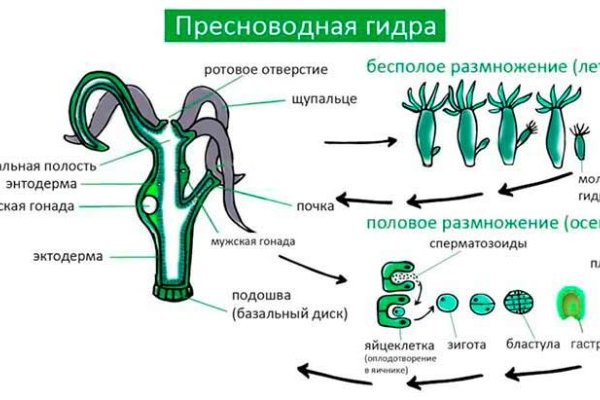 Кракен маркет kr2web in