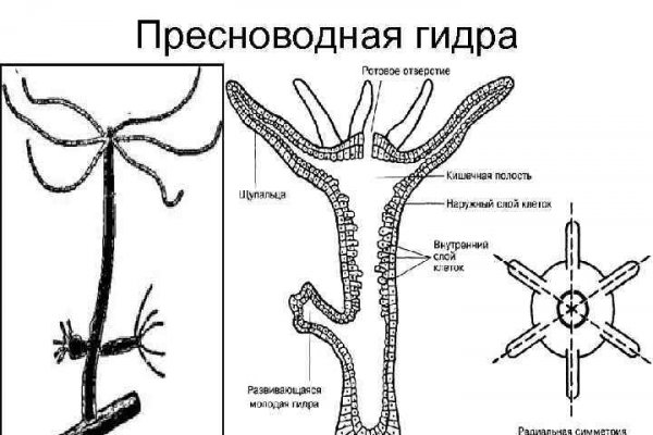 Кракен адрес