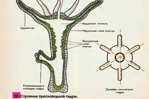 Кракен даркнет ссылка зеркало